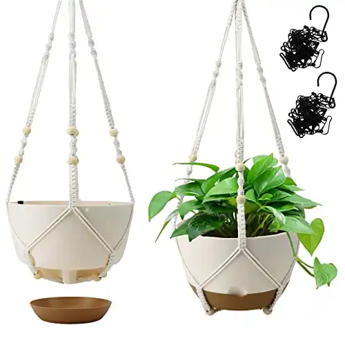 Koalaime Hanging Planter Self Watering 10 Inch, 2 Pack Indoor Outdoor Hanging Baskets, Hanging Flower Pots with Drainage Hole & 2 Kinds of Plant Hangers for Garden Home Decor(Cream)